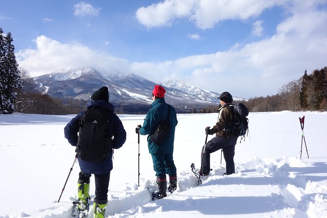 Nagano Snowshoe Hiking Tour - Weather Dependency and Activity Status