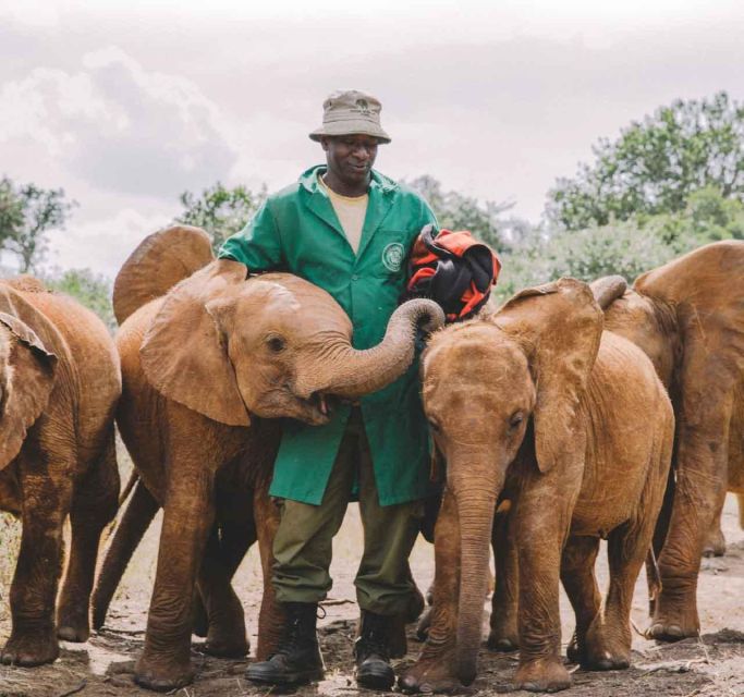 Nairobi National Park, Baby Elephant & Giraffe Center Tour - Common questions