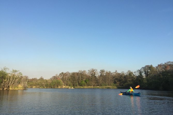 Naples Small-Group Half-Day Everglades Kayak Tour (Mar ) - Wildlife Encounter and Ecosystem Learning