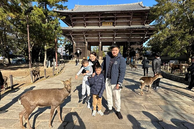 NARA Custom Tour With Private Car and Driver (Max 9 Pax) - Pricing and Terms Overview