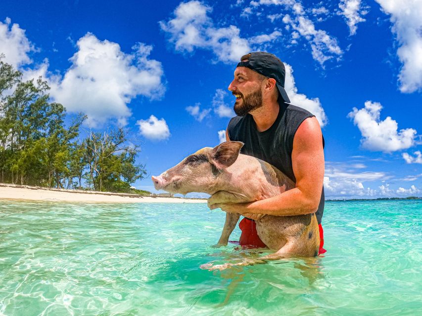 Nassau: Sun Cay and Swimming Pigs Boat Trip With Lunch - Last Words