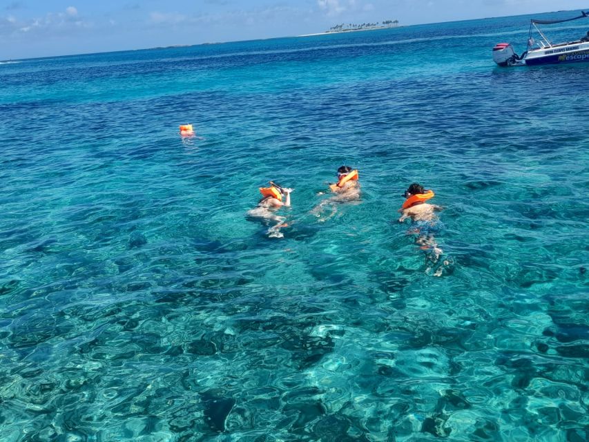 Nassau: Swimming Pigs Private Boat Tour - Up to 7 Persons - Last Words