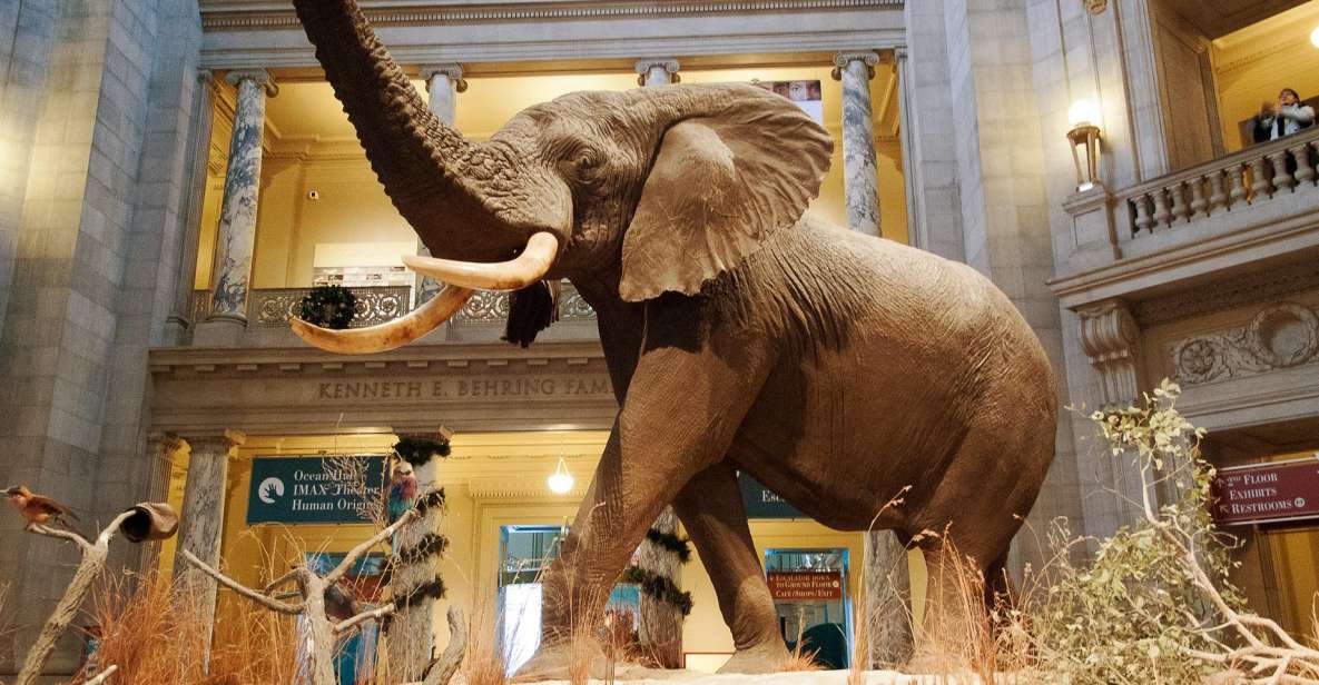 National Museum of Natural History Guided Tour - Additional Tour Information