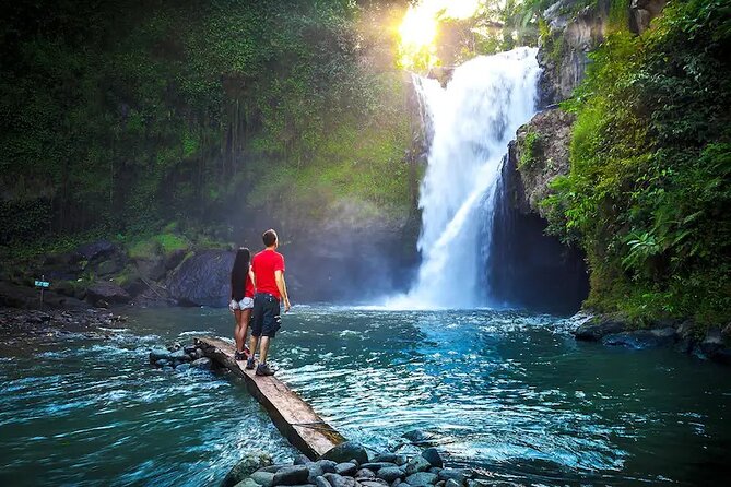 Natural & Cultural Highlights of Ubud: Half-Day Tour  - Seminyak - Customer and Host Feedback