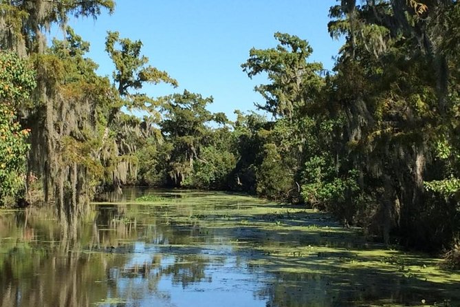 New Orleans City and Swamp Full-Day Tour - Last Words