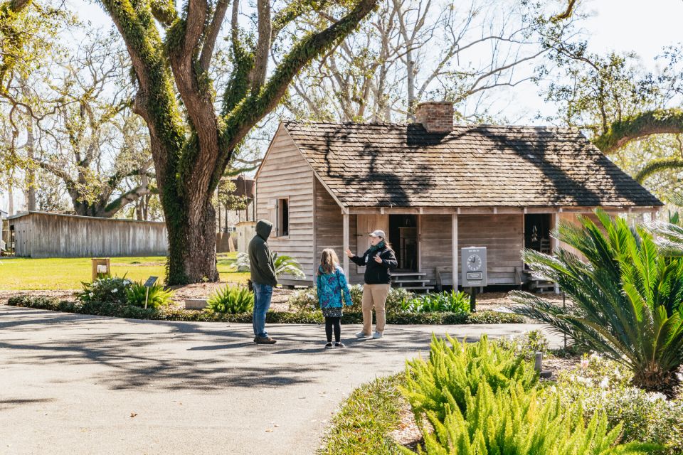 New Orleans: Oak Alley Plantation & Airboat Swamp Combo Tour - Wildlife Encounters