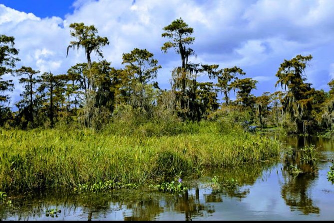New Orleans Swamp Tour Boat Adventure With Transportation - Guided Exploration