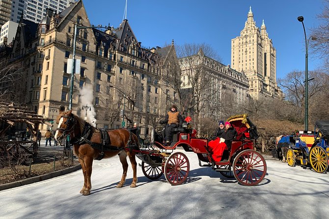 New York City: Central Park Private Horse-and-Carriage Ride (Mar ) - Safety and Requirements