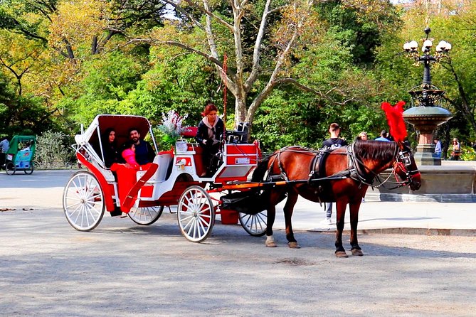 New York City: Central Park Private Horse-and-Carriage Tour (Mar ) - Common questions