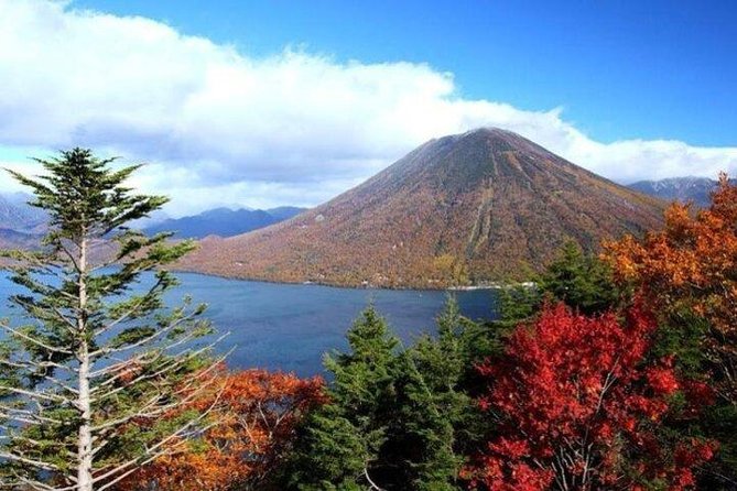 Nikko Full-Day Private Tour With Government-Licensed Guide - Common questions