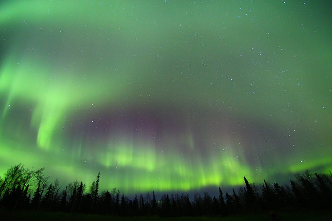 Northern Lights and Arctic Circle Trip From Fairbanks - Common questions