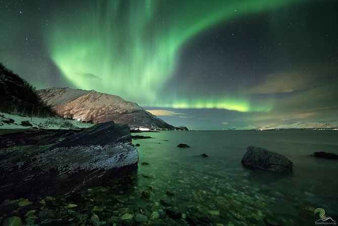 Northern Lights by Minibus. Photos Under the Lights Included. Tromso - Testimonials
