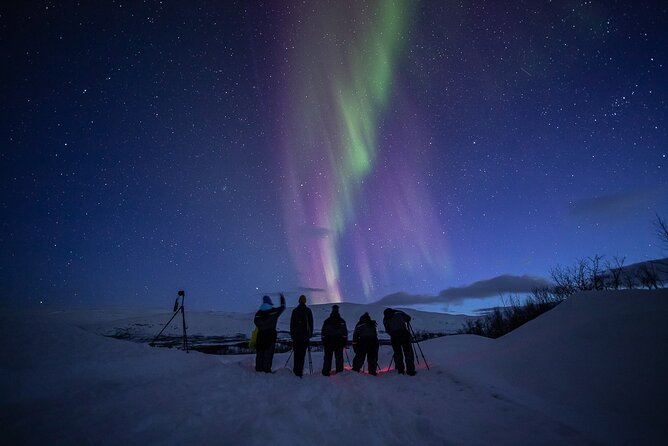 Northern Lights Expedition With Arctic Photo Guide Max 6 Guests - Common questions