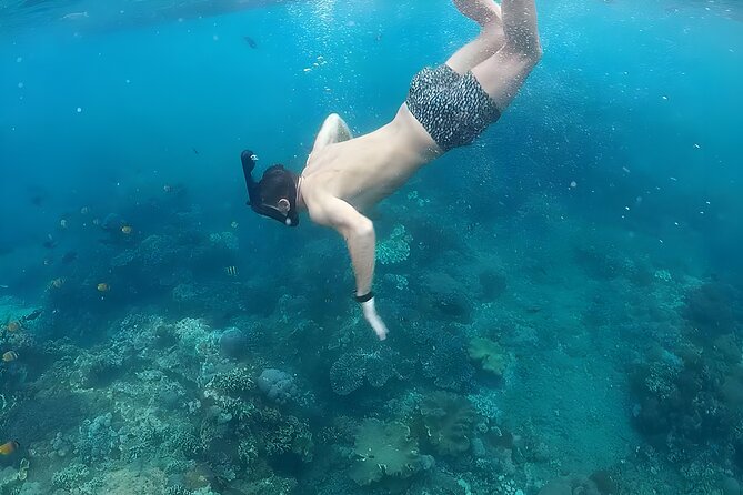 Nusa Penida Island Beach Tour With Snorkeling - Departure From Bali Island - Common questions