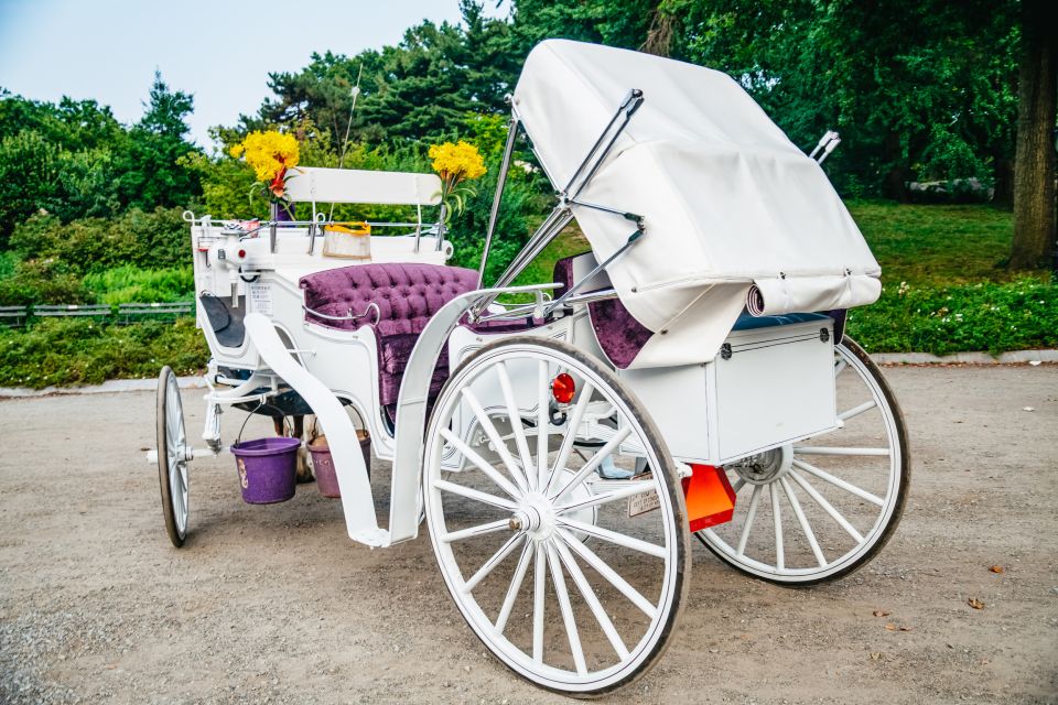 NYC: Guided Central Park Horse Carriage Ride - Common questions