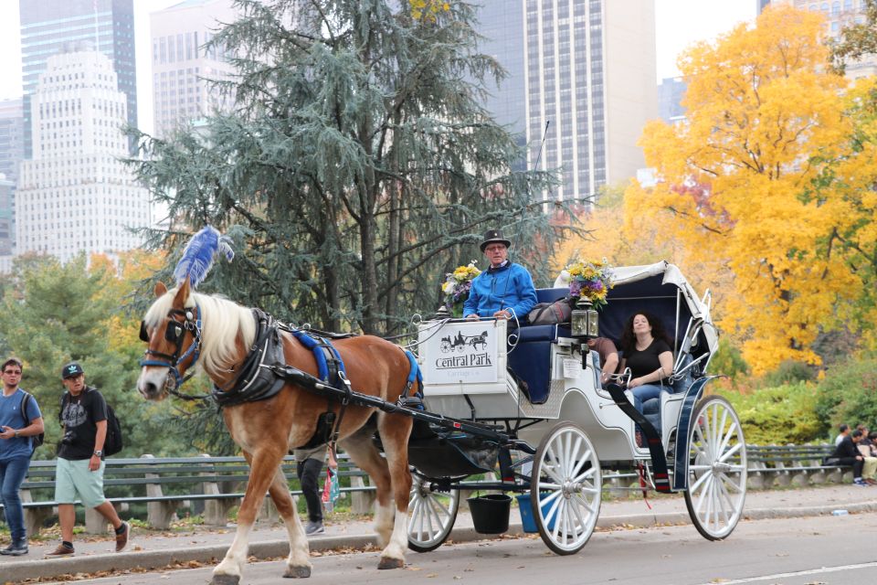 NYC: Guided Standard Central Park Carriage Ride (4 Adults) - Last Words