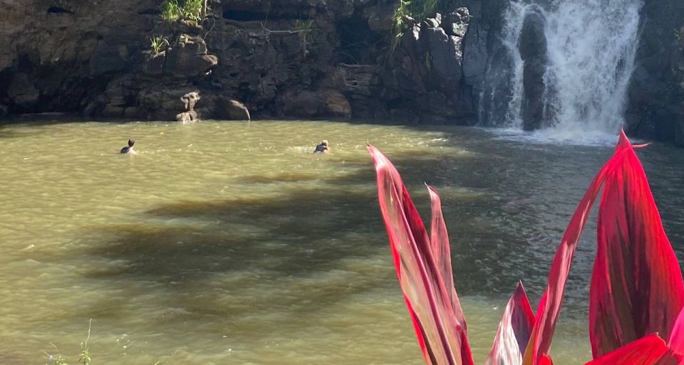 Oahu: Valley of Waimea Falls Swim & Hike With Lunch & Dole - Common questions