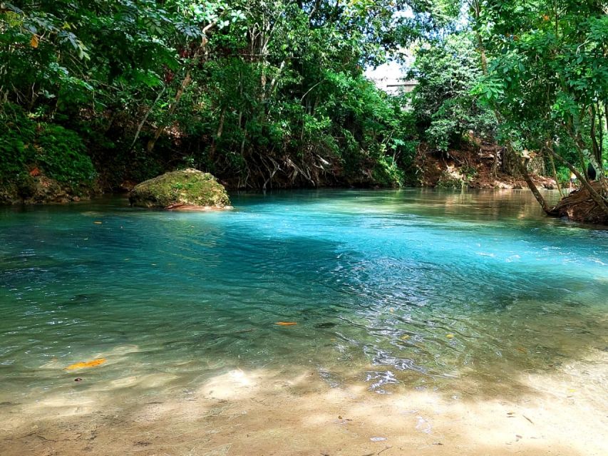 Ocho Rios: Blue Hole, Dunn's River & Reggae Hill Guided Tour - Last Words