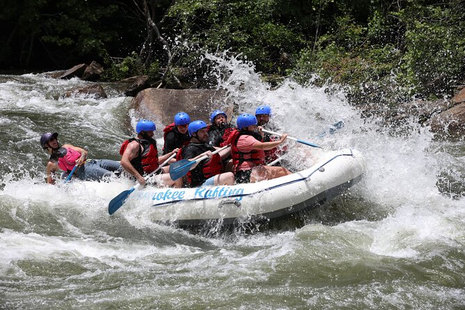 Ocoee River Middle Whitewater Rafting Trip (Most Popular Tour) - Reviews and Ratings