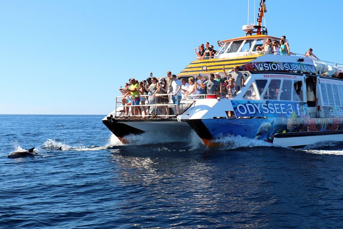 Odyssee 3: The Glass Bottom Boat Tour in Fuerteventura - Common questions