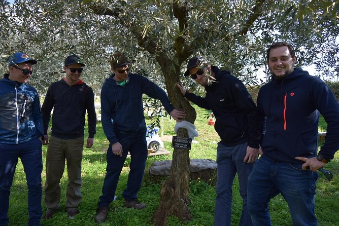 Olive Oil Experience - Accessibility & Cancellation Policy