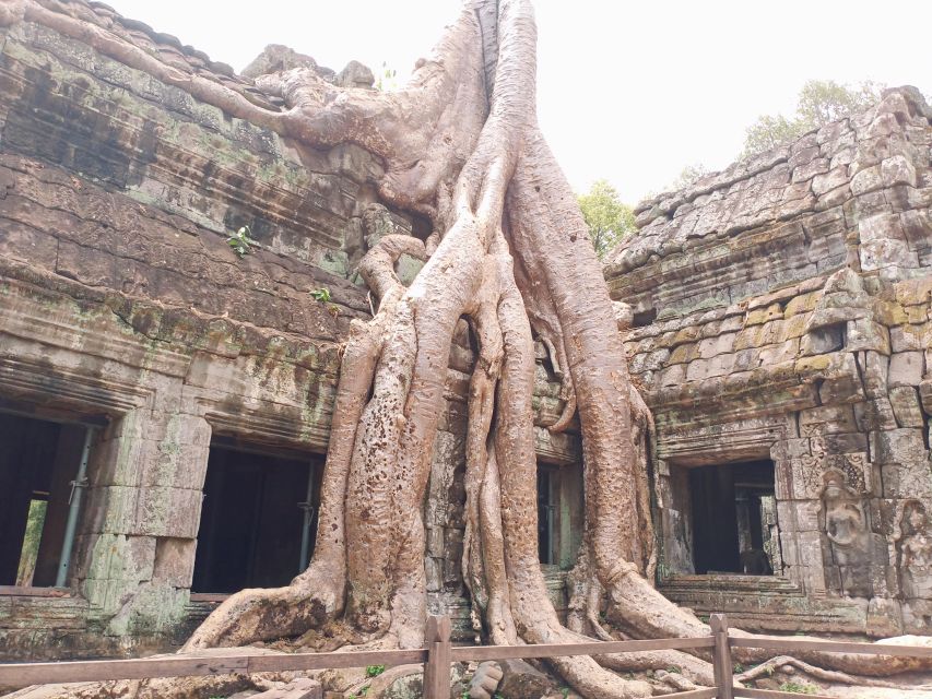 One Day Shared Trip to Angkor Temples With Sunset - Tour Guide Experience