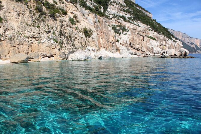 One Day Tour in Rubber Dinghy in the Gulf of Orosei With Skipper - Last Words