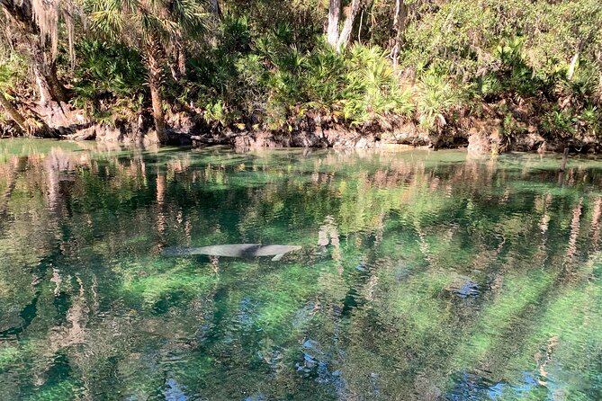 Orlando Manatee and Natural Spring Adventure Tour at Blue Springs - Common questions