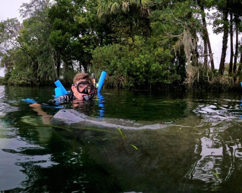 Orlando: Manatee Encounter, Snorkeling, and Airboat Ride - Common questions