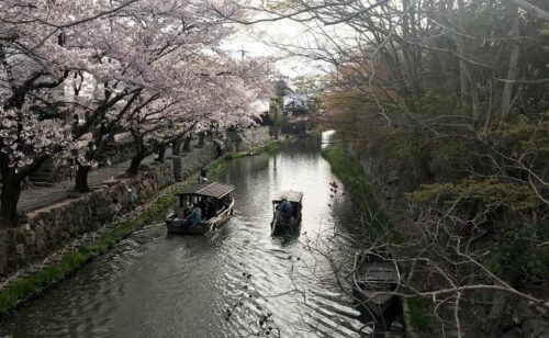 Osaka: 1 or 2 Day Car Rental - Meeting Point Directions