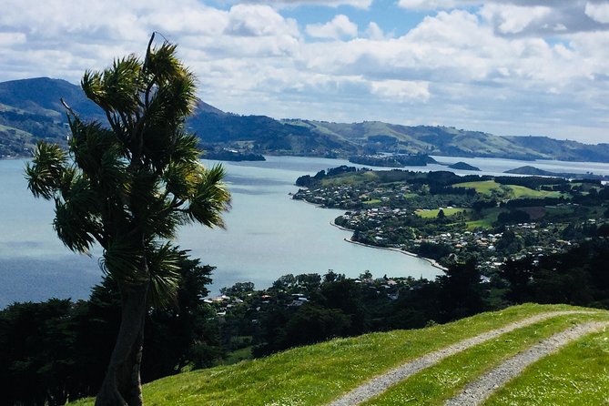 Otago Peninsula Scenery and Dunedin City Highlights Tour - Last Words