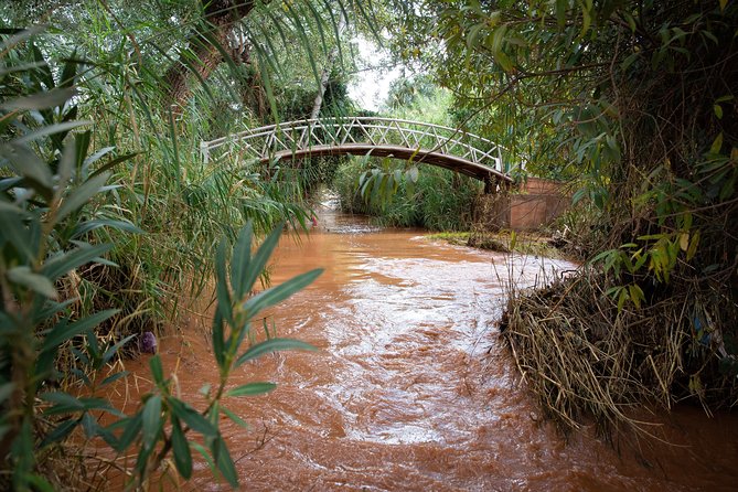 Ouzoud Falls Day Trip From Marrakech - Common questions