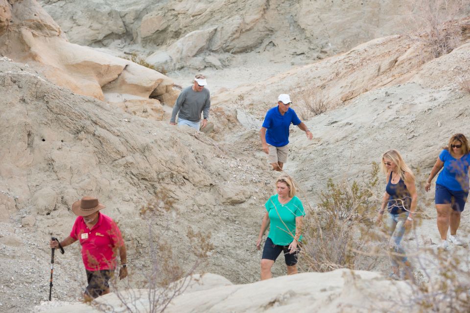 Palm Springs: San Andreas Fault Open-Air Jeep Tour - Common questions