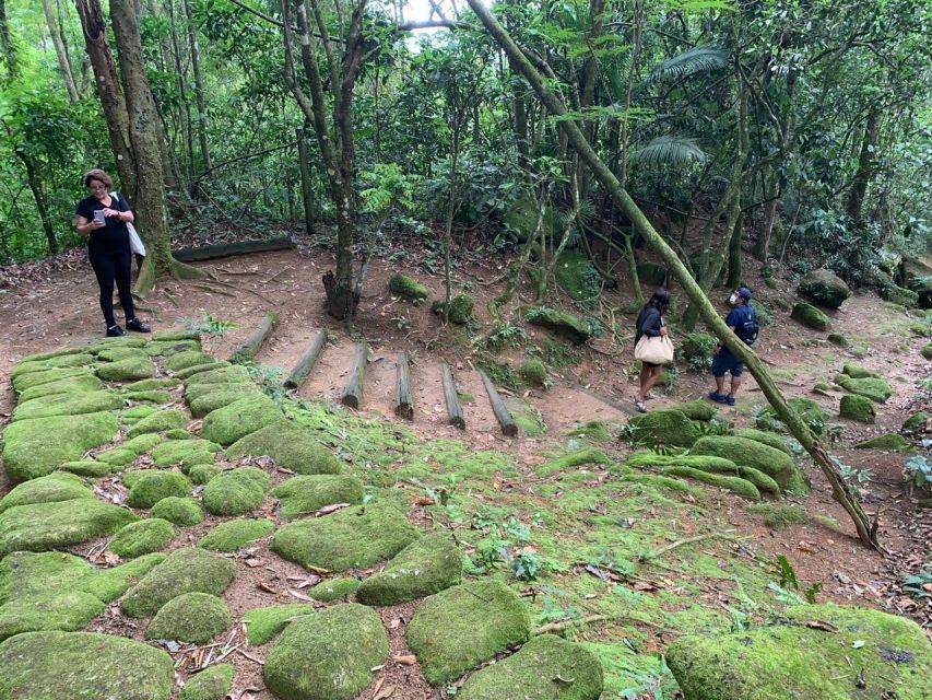 Paraty: Gold Trail Rainforest Hiking Tour - Additional Information