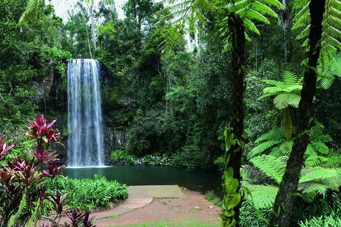 Paronella Park and Millaa Millaa Falls Full-Day Tour From Cairns - Customer Support