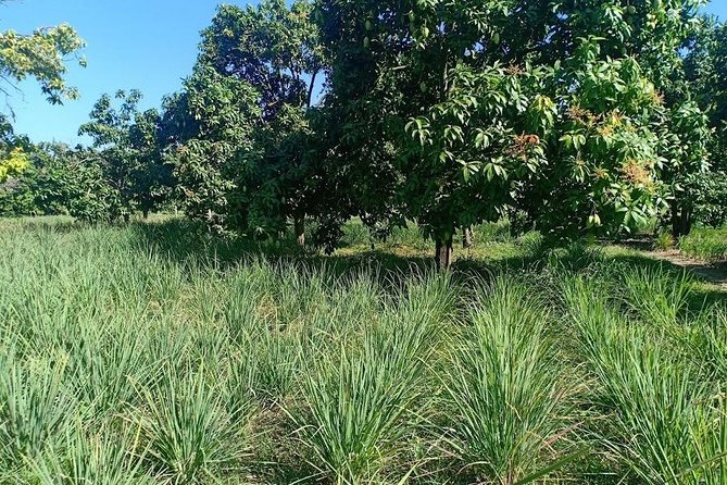 Phnom Penh Countryside Cycle Tour - Last Words