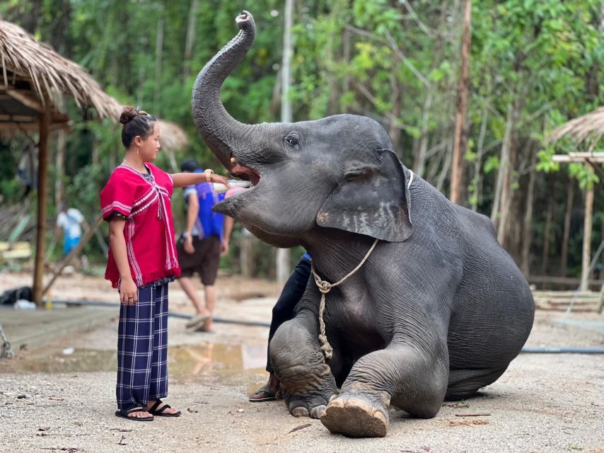 Phuket: Half-Day Elephant Experience With Lunch and Pickup - Last Words