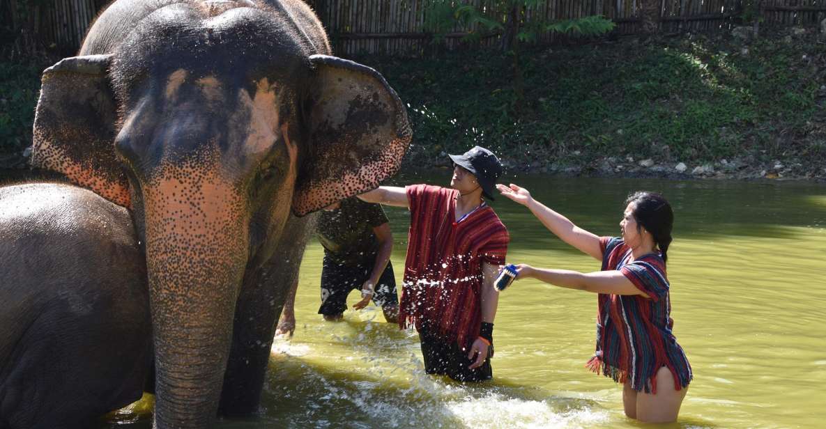 Phuket: Half Day or 2-Hour Ethical Elephant Care Sanctuary - Last Words