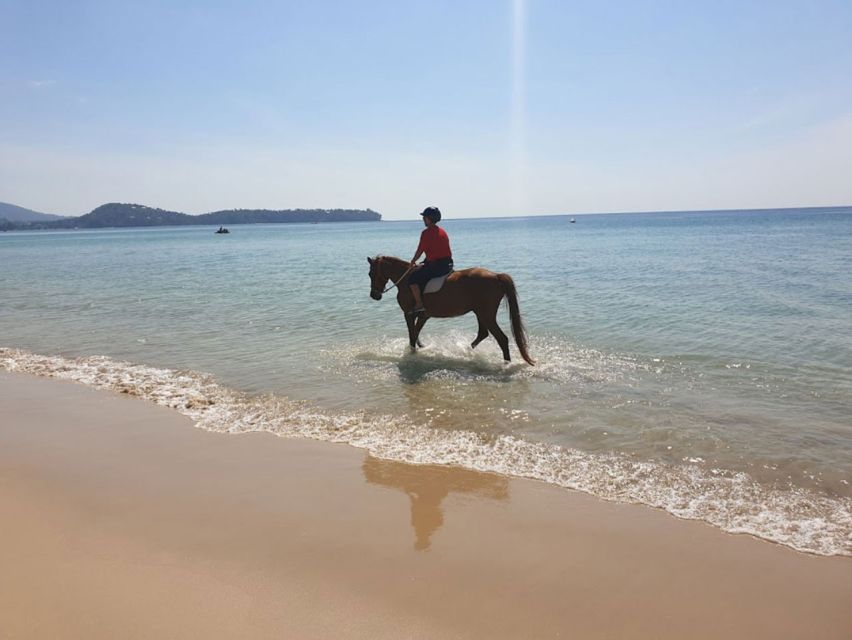 Phuket: Kamala Beach Horse Riding Activity - Directions