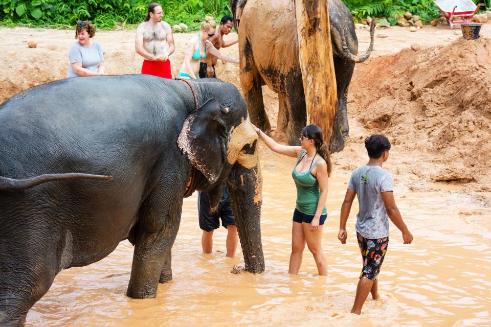 Phuket: Phuket Elephant Sanctuary, Wat Chalong & More - Common questions