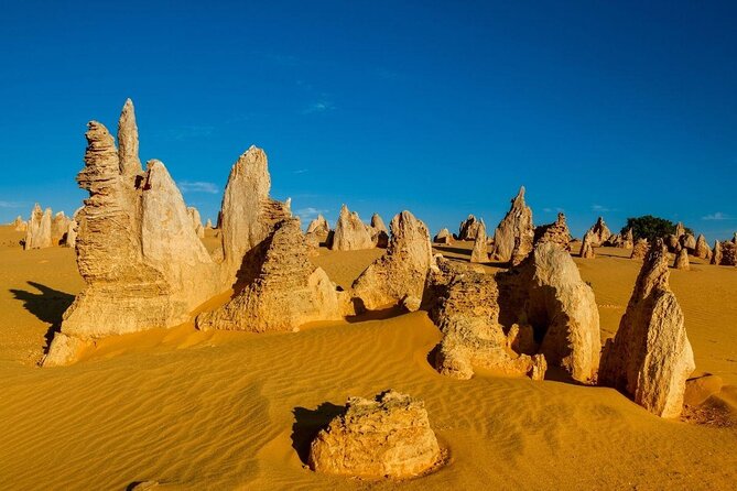 Pinnacles Desert Sunset Stargazing Tour - Tips for Future Visitors