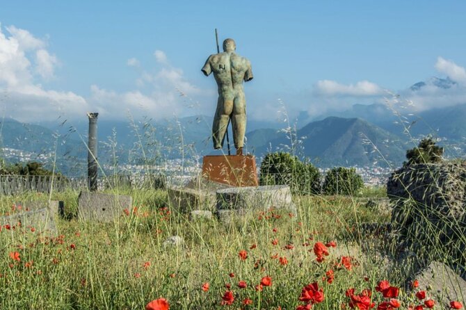 Pompeii and Naples Day Trip From Rome by High Speed Train - Meeting Point, Cancellation Policy, and Additional Details