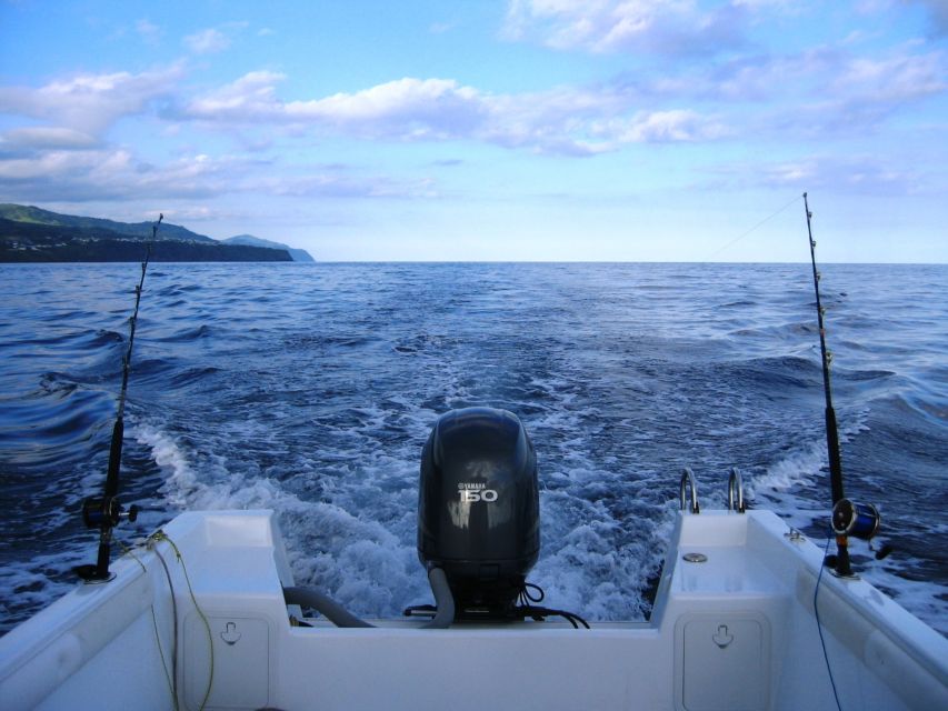 Ponta Delgada: 4-hour Half-Day Sport Fishing Adventure - Common questions