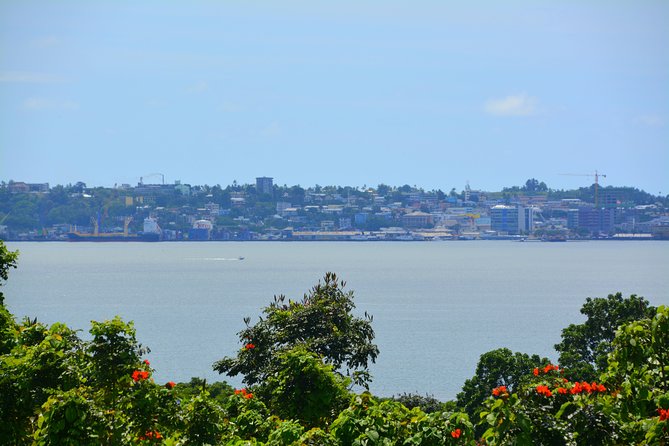 Port of Suva - Private Tour - Last Words