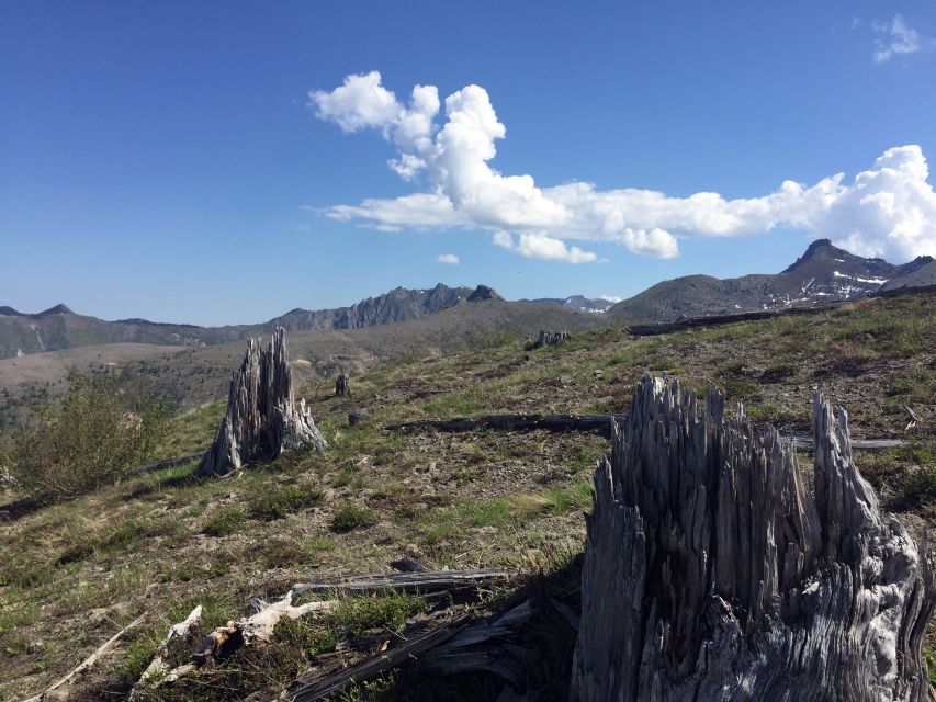 Portland: The Mt. St. Helens Adventure Tour - Booking Details