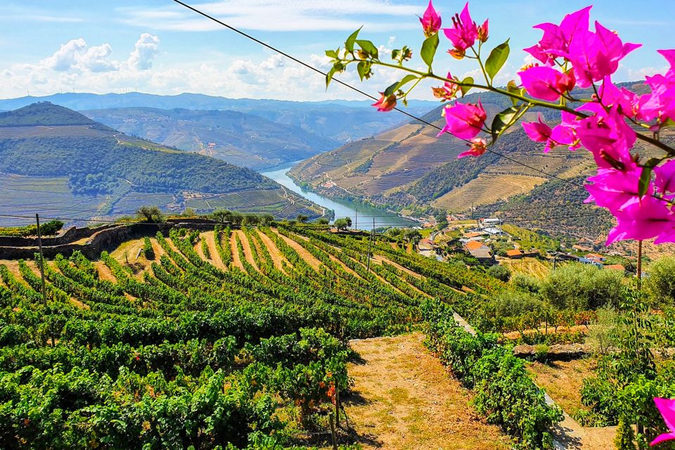 Porto: Douro Valley Tour With Wine Tasting, Lunch & Cruise - Additional Information