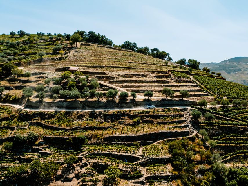Porto: Private Douro Valley 4x4 Tour With Lunch - Common questions