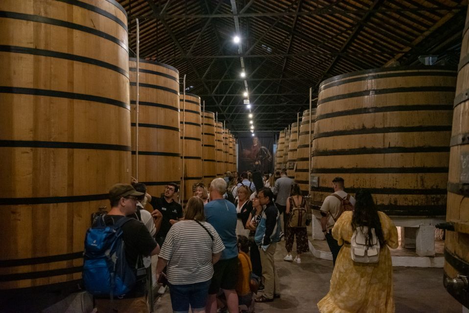 Porto: Wine Cellar Entry, Train Tour & Optional River Cruise - Common questions