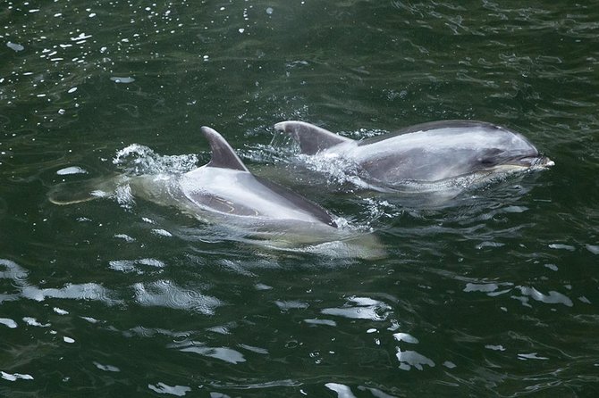 Premium Milford Sound Small Group Tour From Queenstown - Last Words