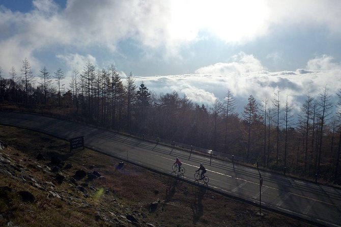 Private 3-Hour Biking Adventure: Descend Mount Fuji  - Fujikawaguchiko-machi - Common questions
